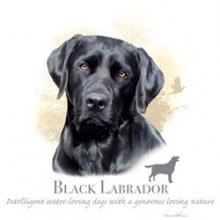 Lady Remington Pillow 17"   Style 170 Black Lab