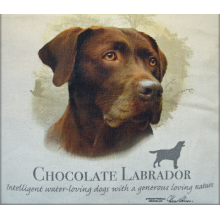 Lady Remington Pillow 17"   Style 169 Chocolate  Lab