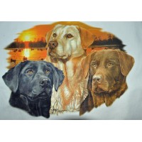 Lady Remington T-shirt  Style 113 Trio Lab  Storm