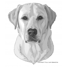 Lady Remington Pillow 17"  Artist  Lab Style LR01 