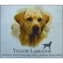 Lady Remington Pillow 17"   Style 168  Yellow Lab